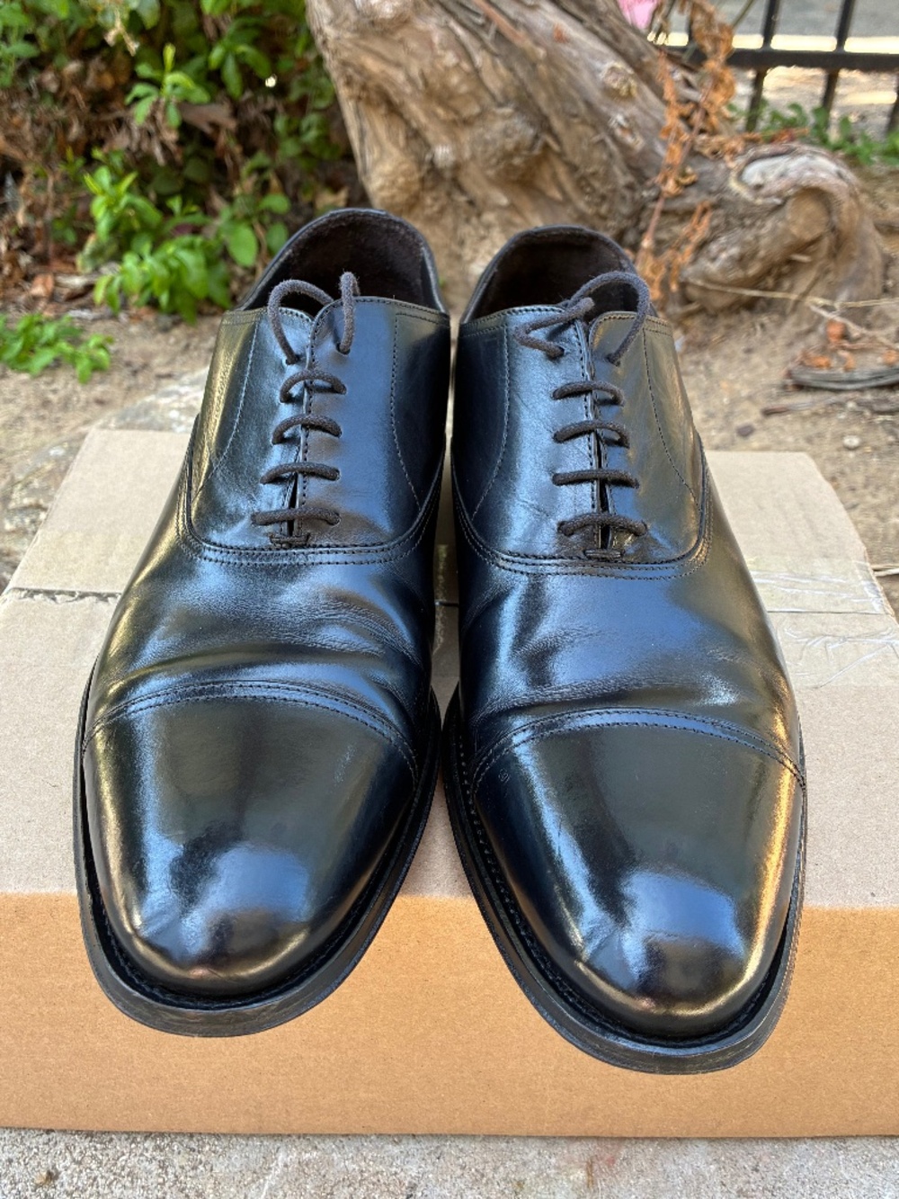 Pre-owned Men's To Boot New York Brandon Black Cap Toe Oxfords Lace-up Shoe 9.5